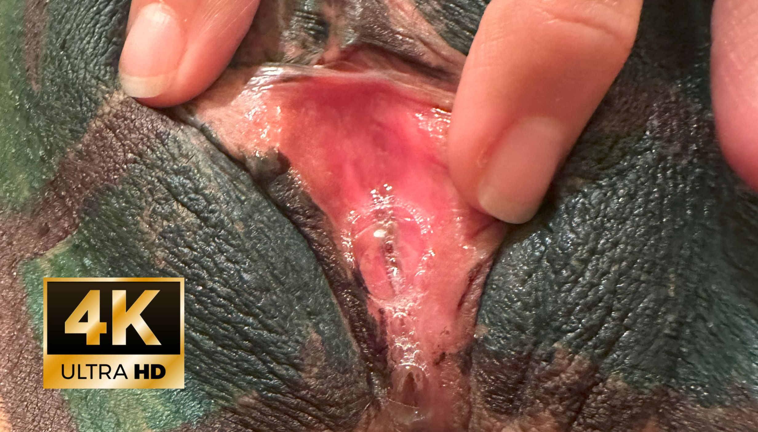 Pocahontas Azotar - MERRY XMAS - HD Selection