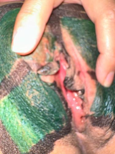 Pocahontas Azotar - Archive photos from Nov and Dec 2024