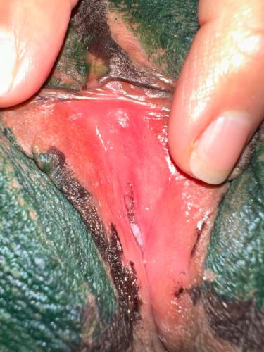 Pocahontas Azotar - MERRY XMAS - HD Selection