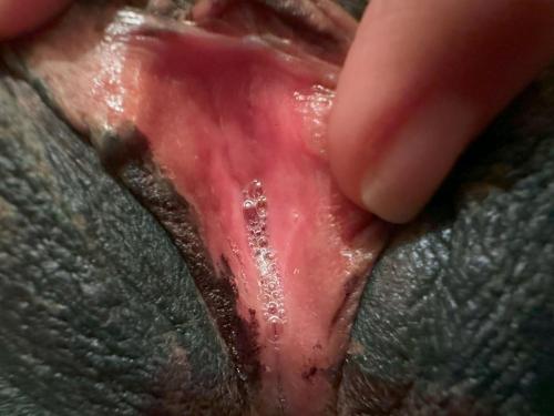 Pocahontas Azotar - MERRY XMAS - HD Selection