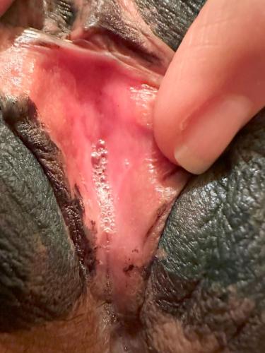 Pocahontas Azotar - MERRY XMAS - HD Selection