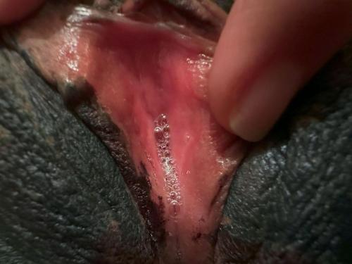 Pocahontas Azotar - MERRY XMAS - Part 2