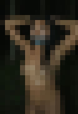 043