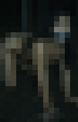 044