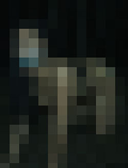 057