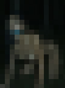 058
