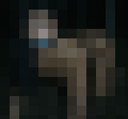 060