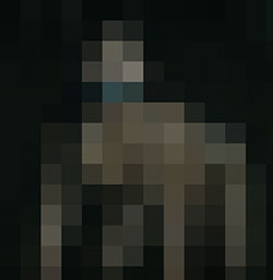 065