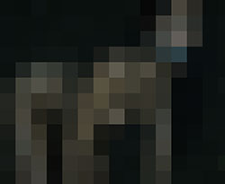 066