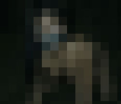 069