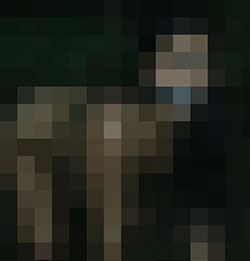 080