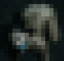 081