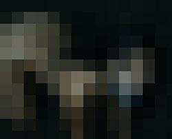 083