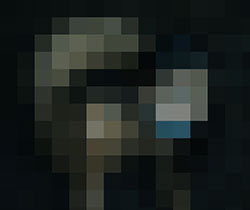 085