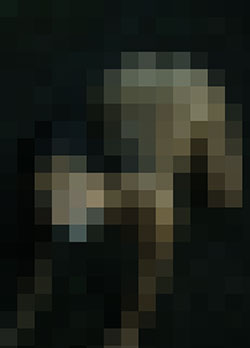 086