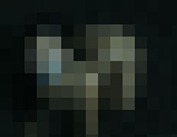 093