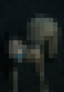 094